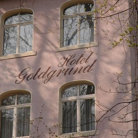 Hotel Goldgrund Meißen Pokoj fotografie